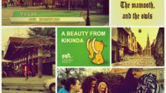 Winners of ELTA Competition