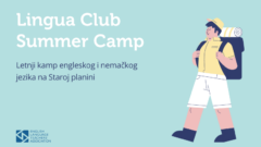 Lingua Club Summer Camp