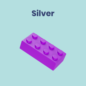 Silver Package